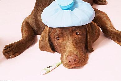 虚幻5重制《上古卷轴5》孤独城 画面效果炸裂！